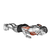 Plyo Push Up exercise demonstration