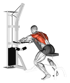 Cable Incline Bench Row exercise demonstration for Back, Cable