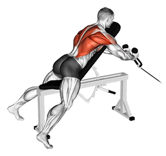Cable Rope Extension Incline Bench Row exercise demonstration for Back, Cable