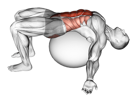 Exercise Ball Back Stretch exercise demonstration for Back, Stability ball