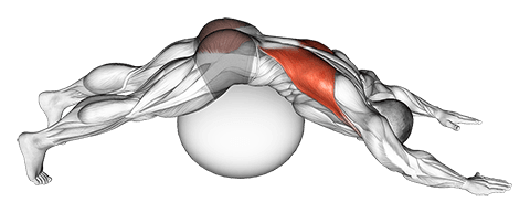 Exercise Ball Lower Back Prone Stretch exercise demonstration