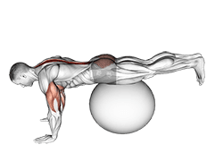 Exercise Ball Prone Leg Raise exercise demonstration for Back, Stability ball