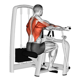 Lever Reverse Grip Vertical Row exercise demonstration for Back, Leverage machine