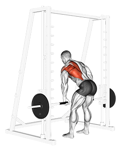 Smith One Arm Row exercise demonstration