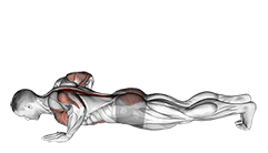 Upward Facing Dog exercise demonstration for Back, Body weight