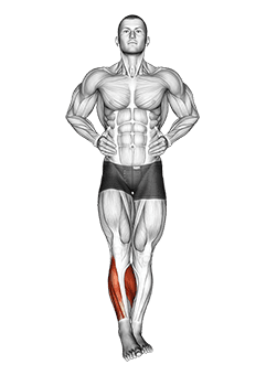 Ankle Circles exercise demonstration
