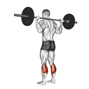 Floor Calf Raise exercise demonstration for Calves, Barbell