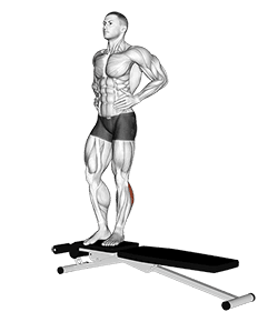 Box Jump Down with One Leg Stabilization exercise demonstration for Calves, Body weight