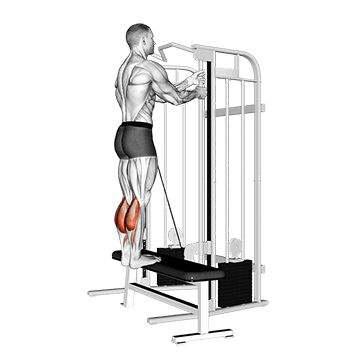 Standing Calf Raise exercise demonstration for Calves, Cable