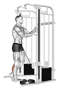 Cable Standing One Leg Calf Raise exercise demonstration for Calves, Cable