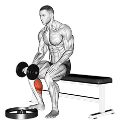 Dumbbell Seated One Leg Calf Raise - Palm up exercise demonstration for Calves, Dumbbell