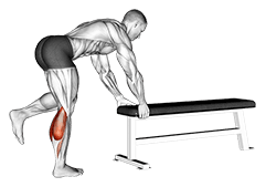 One Leg Donkey Calf Raise exercise demonstration for Calves, Body weight