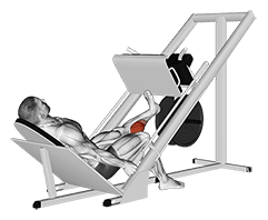 Sled One Leg Calf Press on Leg Press exercise demonstration