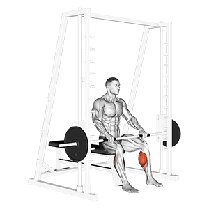 Smith Toe Raise exercise demonstration for Calves, Smith machine