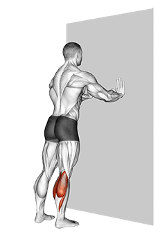 Standing Gastrocnemius exercise demonstration