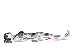 Hamstrings Lying Stretch exercise demonstration for Hamstrings, and Thighs, Body weight