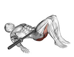 Barbell Glute Bridge exercise demonstration