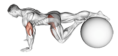 Exercise Ball One Leg Prone Lower Body Rotation exercise demonstration for Hips, Stability ball