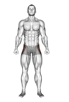 Straight Leg Outer Hip Abductor exercise demonstration for Hips, Body weight