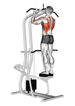Assisted Standing Chin-Up exercise demonstration for Back, Leverage machine