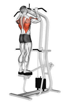 Assisted Standing Pull-up exercise demonstration for Back, Leverage machine