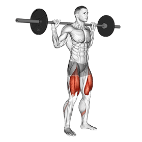 High Bar Squat exercise demonstration for Quadriceps, and Thighs, Barbell