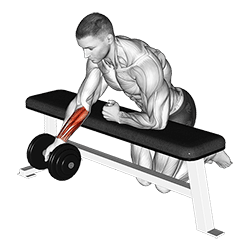 Over Bench One Arm Reverse Wrist Curl exercise demonstration for Forearms, Dumbbell
