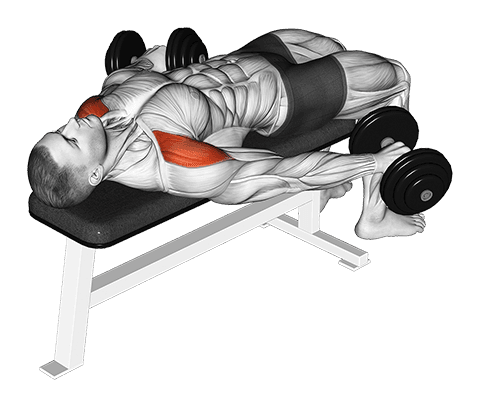 Dumbbell Lying Pronated Grip Maltese Hold Isometric exercise demonstration for Shoulders, Dumbbell