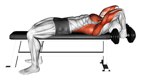 Dumbbell Bent Arm Pullover Hold Isometric exercise demonstration for Chest, Dumbbell