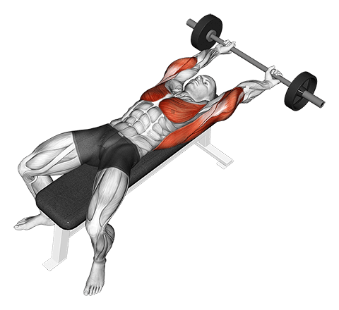 Barbell Pullover Hold Isometric exercise demonstration for Back, Barbell