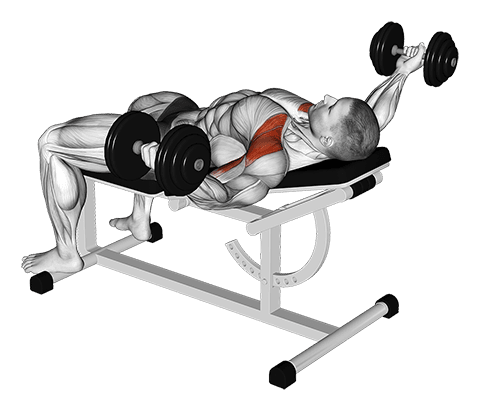 Dumbbell Incline 30 degrees Flye Hold Isometric exercise demonstration for Chest, Dumbbell