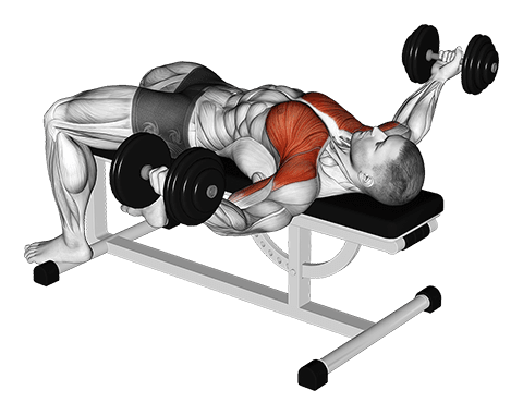 Dumbbell Flat Flye Hold Isometric exercise demonstration for Chest, Dumbbell
