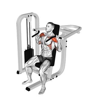 Lever Seated Shoulder Press exercise demonstration