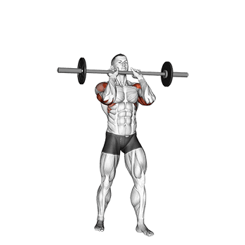 Standing Close Grip Military Press exercise demonstration for Shoulders, Barbell