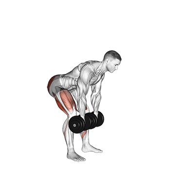 Romanian Deadlift exercise demonstration for Hips, Dumbbell