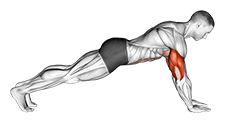 Push-up on Forearms exercise demonstration