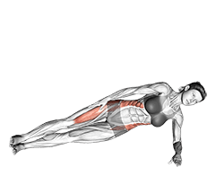 Lateral Side Plank exercise demonstration for Hips, Body weight