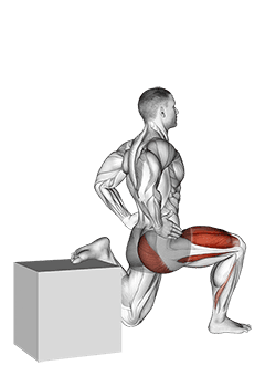 One Leg Squat exercise demonstration