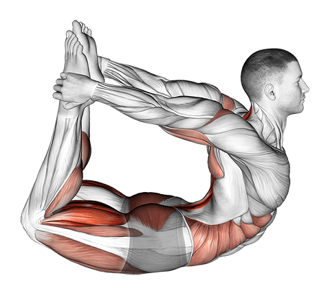 Bow Yoga Pose exercise demonstration for Hips, Body weight