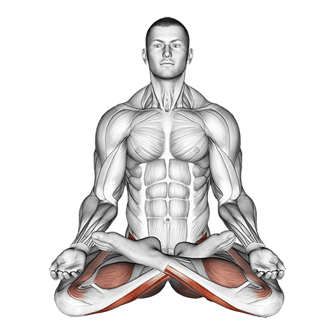 Full Lotus Yoga Pose exercise demonstration