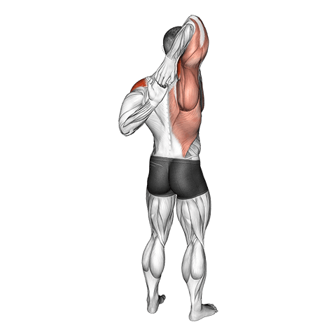 Shoulder Stretch Behind the Back exercise demonstration