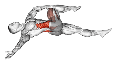 Supine Spinal Twist Yoga Pose exercise demonstration for Hips, Body weight