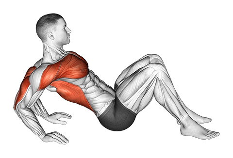 Triceps Dip Stretch exercise demonstration