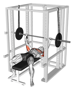 Barbell Reverse Band Bench Press exercise demonstration for Triceps, and Upper Arms, Band