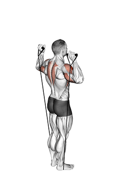 Band Behind Neck Shoulder Press exercise demonstration for Shoulders, Band