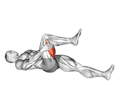 Hamstring Stretch exercise demonstration