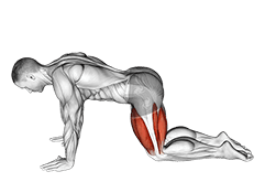 All Fours Squad Stretch exercise demonstration for Thighs, Body weight