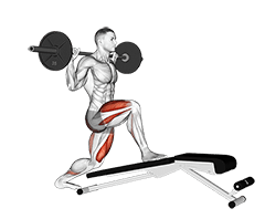 Barbell Decline Bench Lunge exercise demonstration