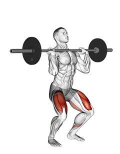 Barbell Jerk Dip Squat exercise demonstration
