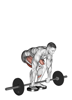 Barbell Romanian Deadlift From Deficit exercise demonstration for Hips, Barbell